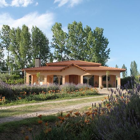 Вилла Casona Aventurados Лухан-де-Куйо Экстерьер фото